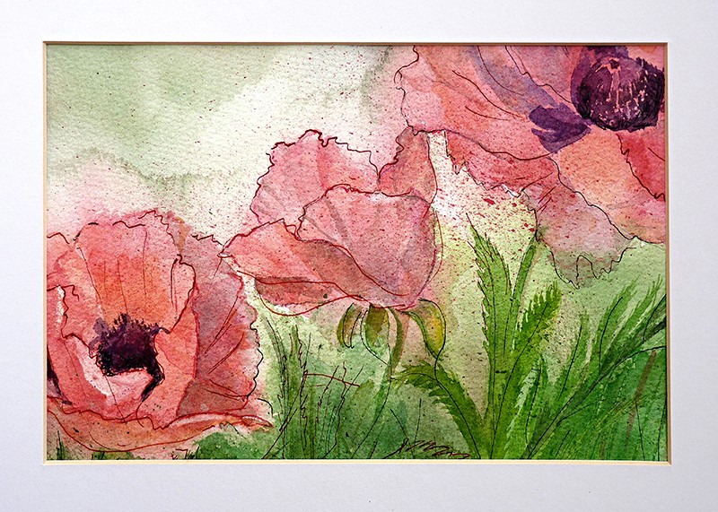 Pink Poppies 4 4W